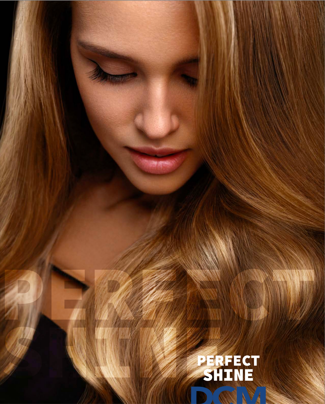 Catalogo Perfect Shine